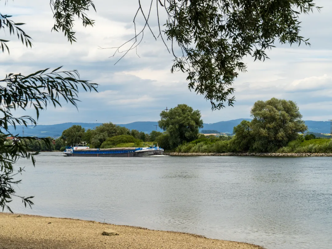 An der Donau bei Reibersdorf (Foto 2)