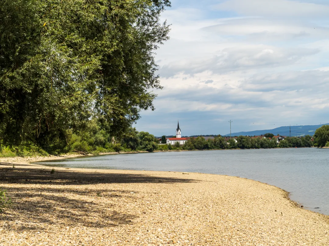 An der Donau bei Reibersdorf (Foto 3)