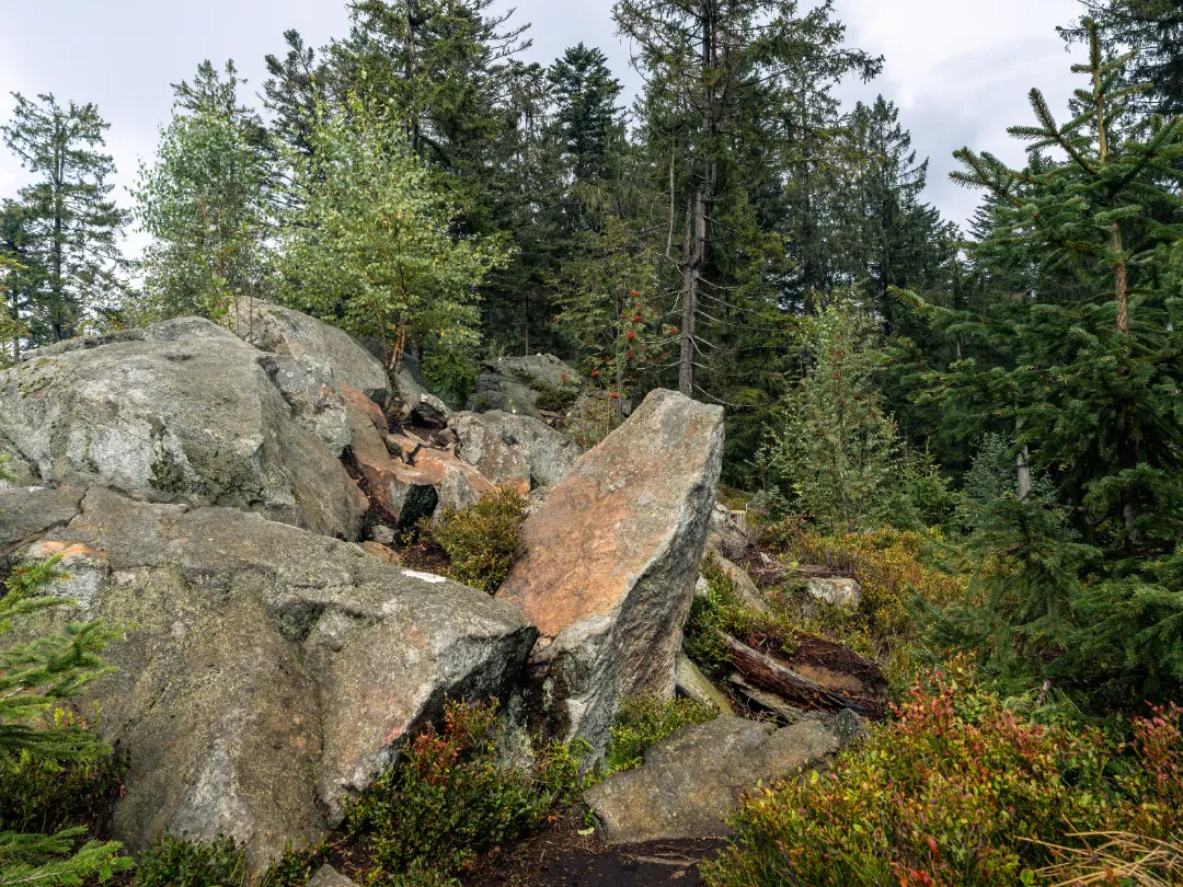 Hadriwa Höhenweg mit Gipfelkreuz und Aussichtspunkt im Bayerischen Wald (Foto 2)