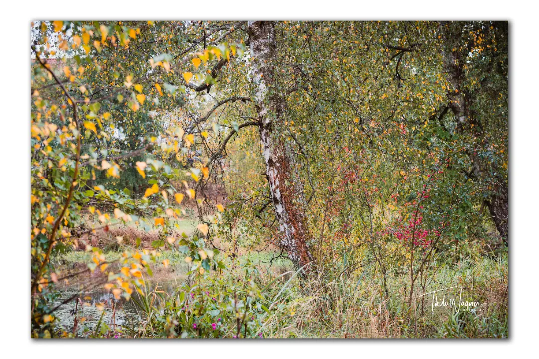 Herbst in Haibach