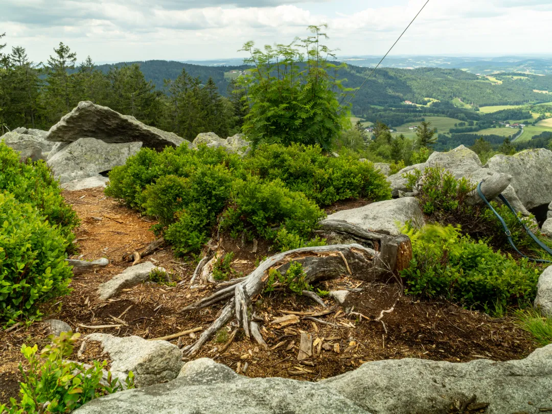 Käsplatte bei Sankt Englmar im Bayerischen Wald (Foto 2)