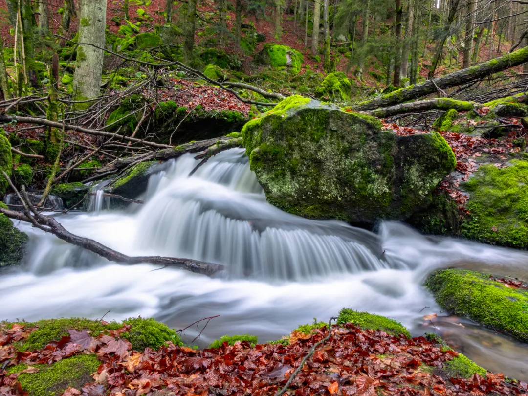 Nagelsteiner Wasserfälle (Foto 2)