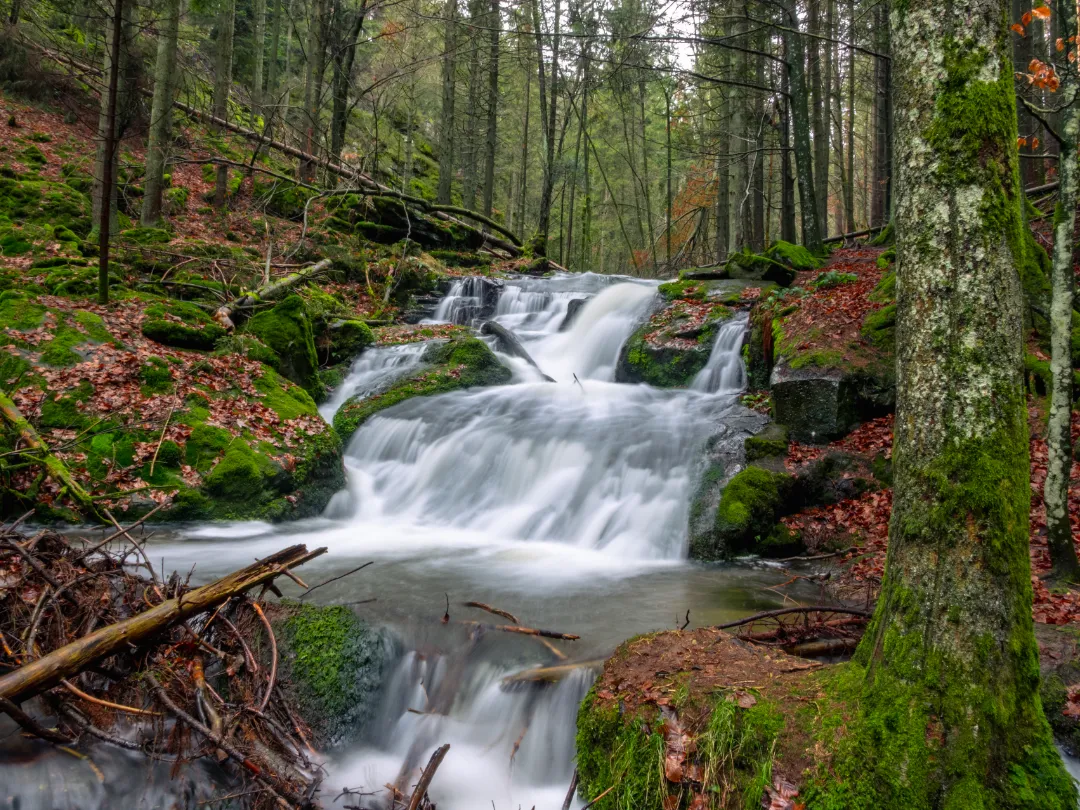 Nagelsteiner Wasserfälle (Foto 3)