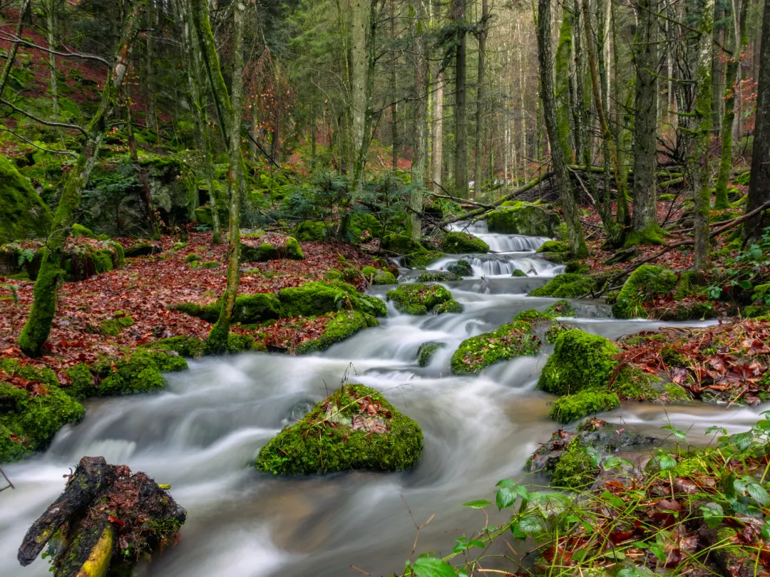 Nagelsteiner Wasserfälle - Obermühlbach