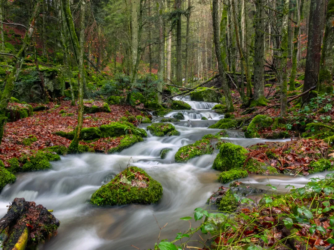Nagelsteiner Wasserfälle