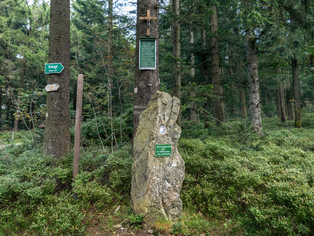 Wandern am Knogl bei Sankt Englmar: Gipfelruhe und die Sage vom Einsiedler